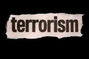 Жителя Вельска обвиняют в призывах к терроризму