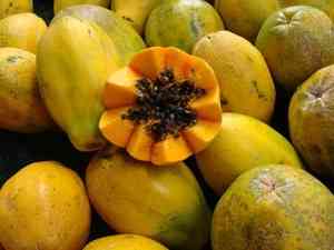 Экзотические фрукты Таиланда. Виды и особенности.