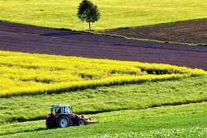 Кадастровая оценка земель сельхозназначения на территории Архангельской области запланирована на 2019 год