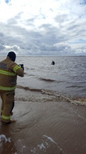 Северодвинские спасатели спасли тонущего мужчину 