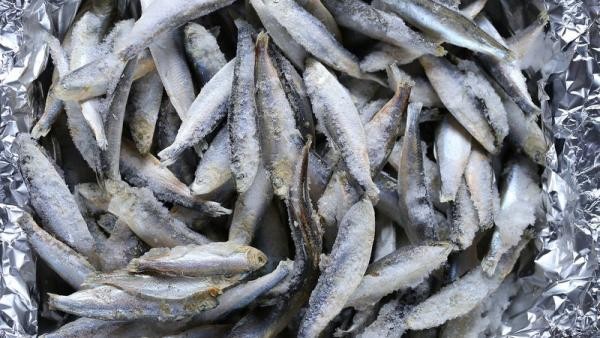 Три тонны рыбы неизвестного происхождения уничтожили в Архангельске