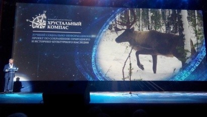 Архангельский проект по защите дикого северного оленя признан одним из лучших на национальном уровне