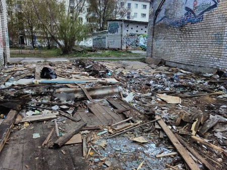 Активисты ОНФ решили победить свалку в центре Архангельска
