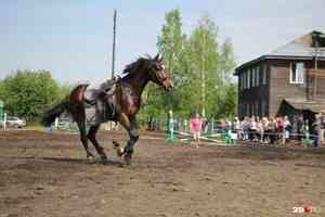 Быстрые и красивые: фоторепортаж с открытия конно-спортивного сезона в Архангельске