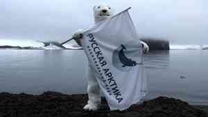 Нацпарк «Русская Арктика» отмечает 10 лет со дня создания