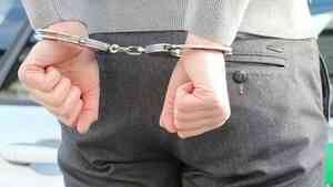 Жителя Вилегодского района задержали за незаконный сбыт наркотиков