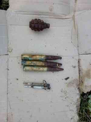 В погребе на окраине Архангельска нашли гранату и боеприпасы