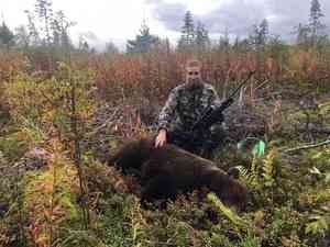 Северодвинский депутат убил медведя на охоте