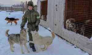 В арктической бригаде Северного флота появился питомник ездовых собак