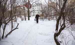 6 декабря в Архангельске будет +1°С и снег