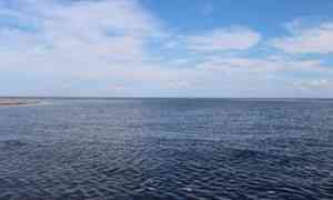 Региональный Роспотребнадзор проверил рыбу из Белого моря на радионуклиды