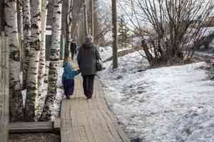 В Архангельской области пенсионеры, воспитывающие детей-инвалидов, теперь будут получать пособие
