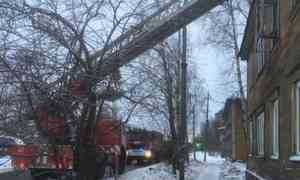 При пожаре в жилом доме в Архангельске погибли два человека