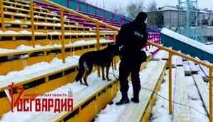 Сотрудники архангельского ОМОН приняли участие в обеспечении общественной безопасности на матче чемпионата России по хоккею с мячом