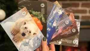 Архангелогородцы отправят открытки с видами Поморья в разные уголки страны
