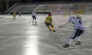 Юношеская сборная области по хоккею с мячом разгромила команду из Республики Коми со счетом 4:0