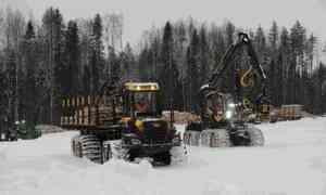 Лесосека, олени, хоккей: в Устьянский район приехали участники совещания по совершенствованию лесного законодательства