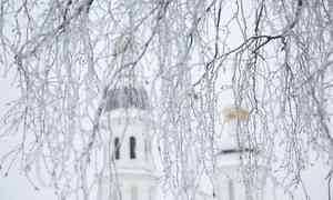9 января в Архангельске потеплеет до +1°С