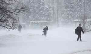 22 февраля в Архангельске пройдёт дождь со снегом