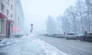 25 февраля в Архангельске — снежно и −2°С