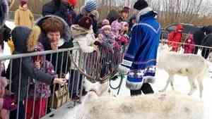 День дикого северного оленя: в Северодвинске прошел семейный экологический праздник