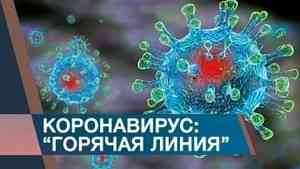 В Архангельской области работает круглосуточная «Горячая линия» по коронавирусной инфекции