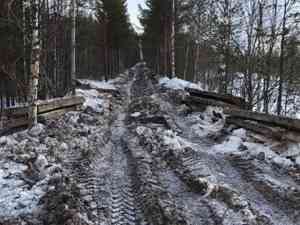 Разбор дороги возле села Брусеница продолжается. ОНФ требует УМВД обратить внимание