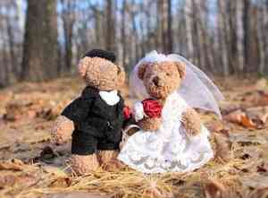 Северодвинские молодожёны зарегистрировали брак онлайн