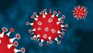 В Поморье число зараженных коронавирусом возросло до шести человек