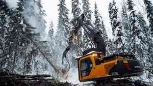 В Архангельске обсудили кадровое обеспечение предприятий лесной отрасли