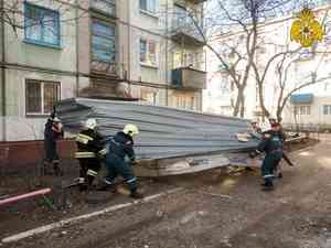 Омские спасатели оказывают коммунальщикам помощь в ликвидации последствий сильного ветра