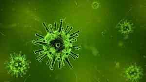В Поморье официальный список больных коронавирусом пополнили сразу 10 человек