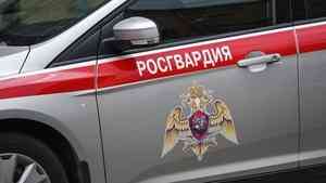 В Исакогорском округе Архангельска наряд Росгвардии задержал подозреваемую в совершении преступления, скрывающуюся от правоохранительных органов