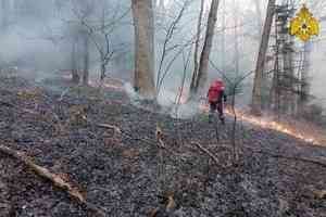 МЧС России оказывает помощь в тушении  природных пожаров