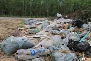 Директора «ЭкоИнтегратора» оштрафовали на 2 тысячи рублей за невывоз мусора в Верхнетоемском районе