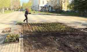 В Архангельске в Октябрьском районе начались работы по летнему украшению города