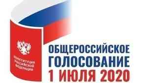 Элла Памфилова представила проект порядка общероссийского голосования