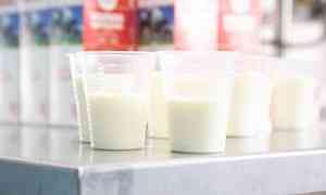 Александр Цыбульский поручил правительству региона не допустить роста цен на молоко