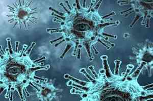 В Архангельской области выявлено 92 случая заболевания коронавирусом