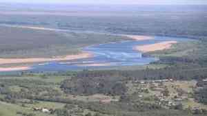 WWF ответил Рослесхозу и пояснил, как леса вдоль нерестовых рек потеряли защитный статус