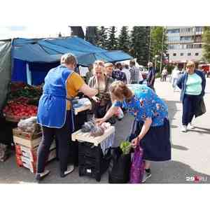 «Нашему Ивану ничего не страшно»: как проходит первая летняя ярмарка в центре Архангельска