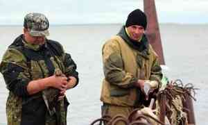 Сотрудники Ненецкого заповедника спасли двух уток из незаконно установленных рыболовных сетей