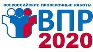 Всероссийские проверочные работы пройдут с 14 сентября по 12 октября