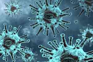 В Архангельской области выявлено 97 заболевших коронавирусом