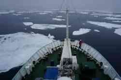 Научный арктический совет будет создан при Госкомиссии по вопросам развития Арктики 