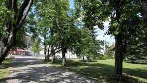 На четыре дня архангельский Петровский парк превратится в место праздничных гуляний