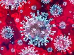 124 человека заразились коронавирусом в Поморье