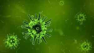 В Архангельской области за сутки 124 человека заразились коронавирусной инфекцией