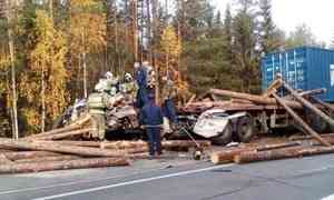 В Устьянском районе на трассе «Шангалы — Вельск» столкнулись два большегруза. Водитель одного из них погиб.