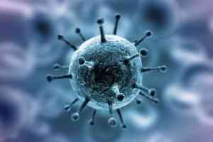 272 случая заражения коронавирусом выявили в Архангелькой области